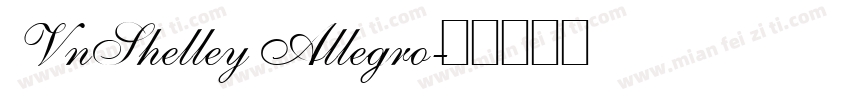 VnShelley Allegro字体转换